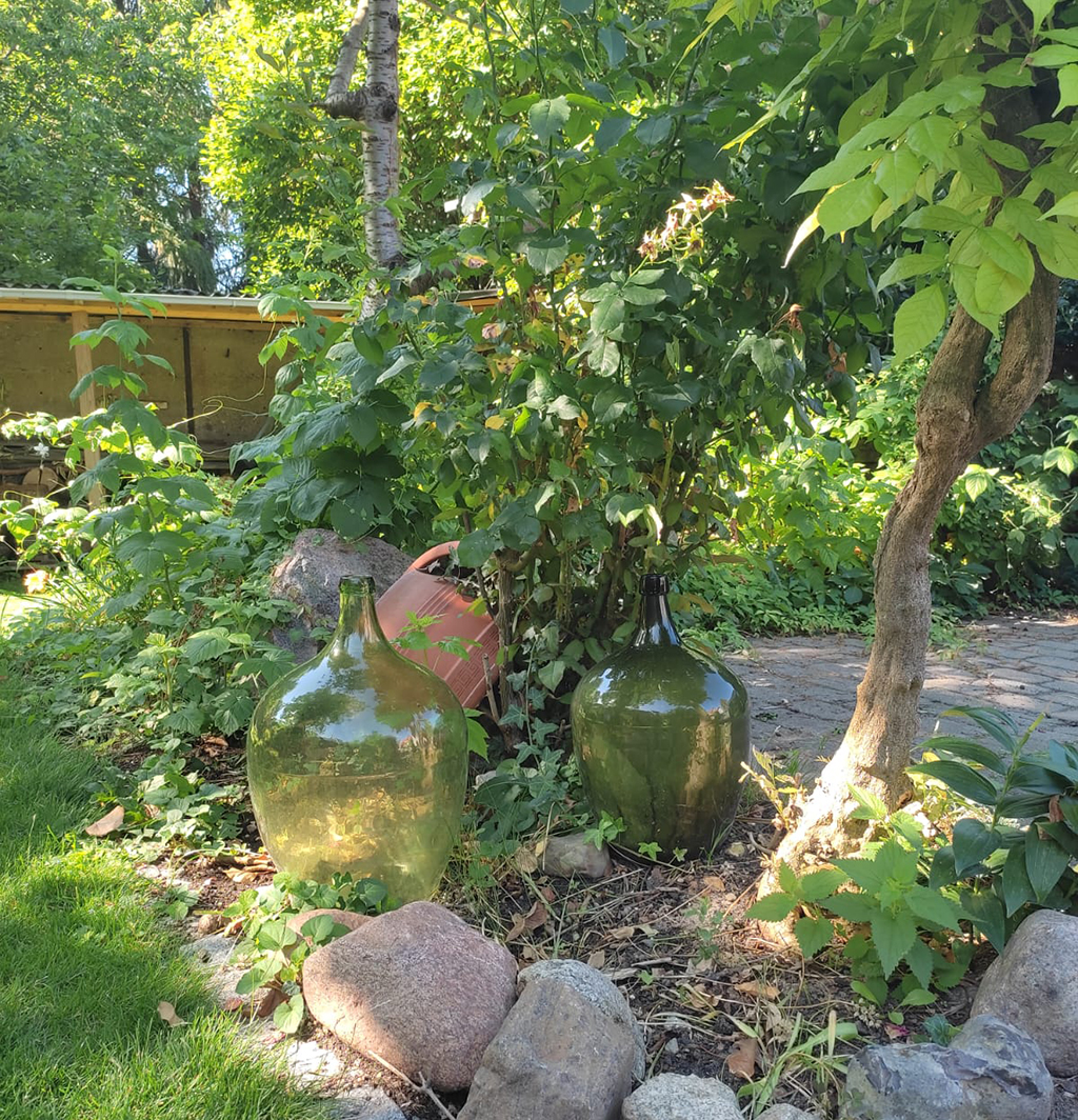 Tolle Gartenpflanzen